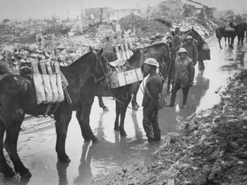 War Horse