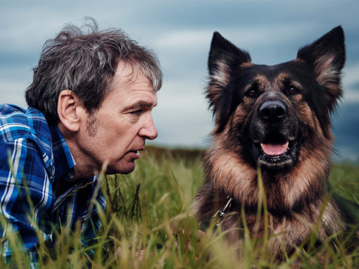 Dogs: Secret Lives